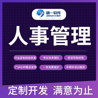 計(jì)算機(jī)軟件開(kāi)發(fā)與咨詢(xún) 創(chuàng)新與賦能的雙引擎