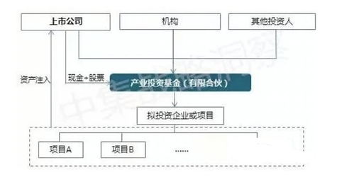 PE與上市公司合作發(fā)起設(shè)立產(chǎn)業(yè)并購(gòu)基金的模式解析——以基礎(chǔ)軟件服務(wù)行業(yè)為例
